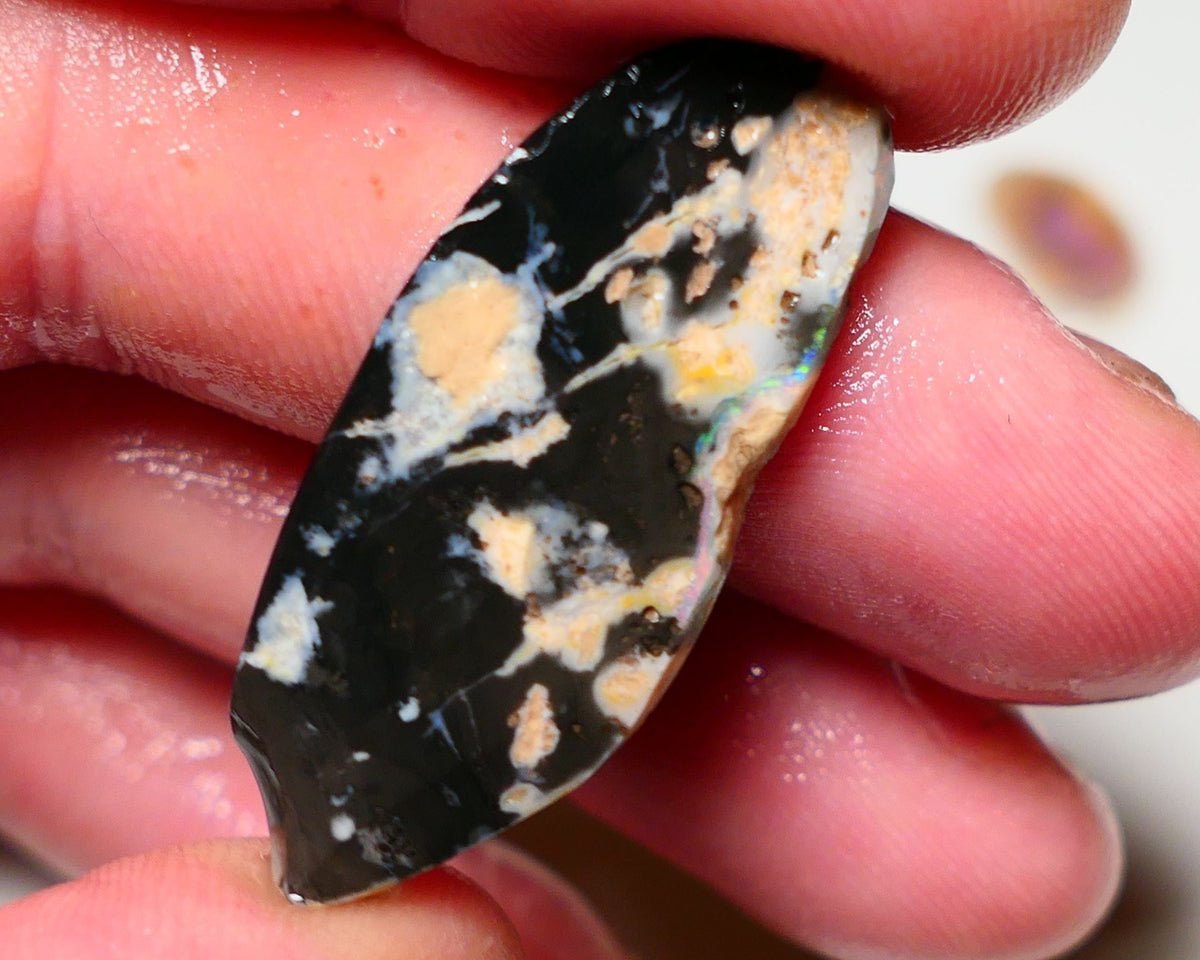 Lightning Ridge Rough / Rub Black opal  17cts Large Picture stone with some Reds & Multifires 37x16x4mm A1530