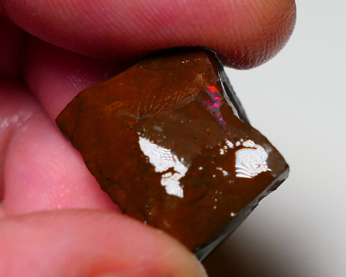 Queensland Boulder opal 45cts rough Gamble Winton  Red Flash showing :) : 20x15x15mm 0915