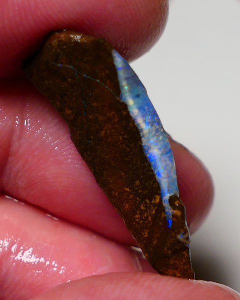 Queensland Boulder opal 18cts rough Winton  Bars to exposed with colour 30x15x6mm 0909