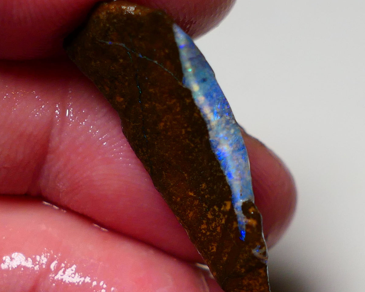 Queensland Boulder opal 18cts rough Winton  Bars to exposed with colour 30x15x6mm 0909