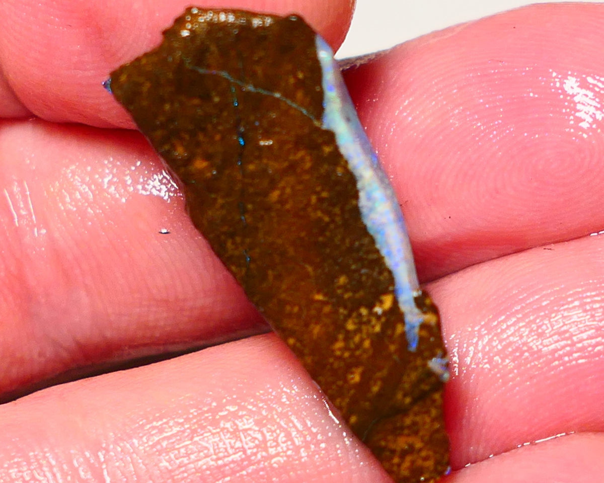 Queensland Boulder opal 18cts rough Winton  Bars to exposed with colour 30x15x6mm 0909