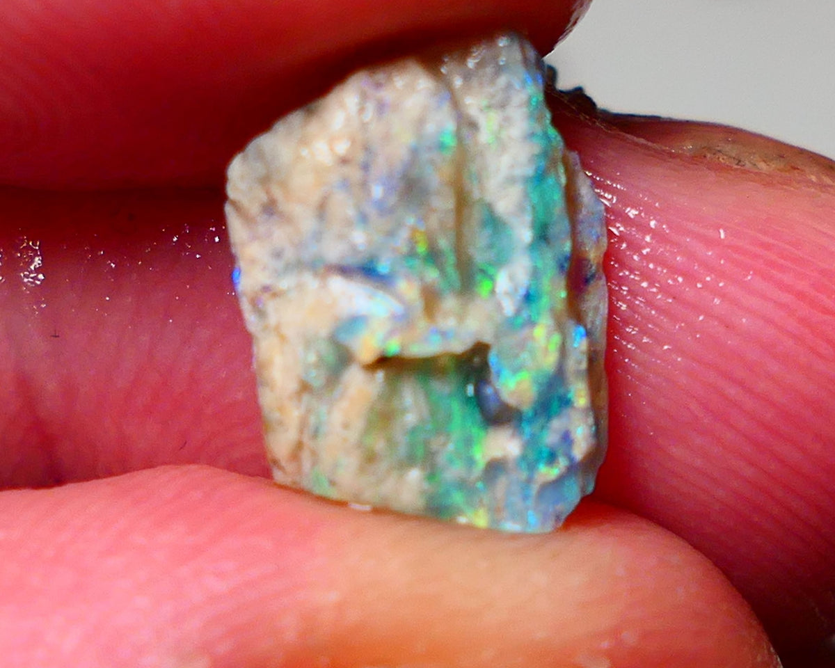 Lightning Ridge Opal Rough nice Opalised Wood Fossil 3.35cts Nice Multi Colours 12x8x6mm 0917