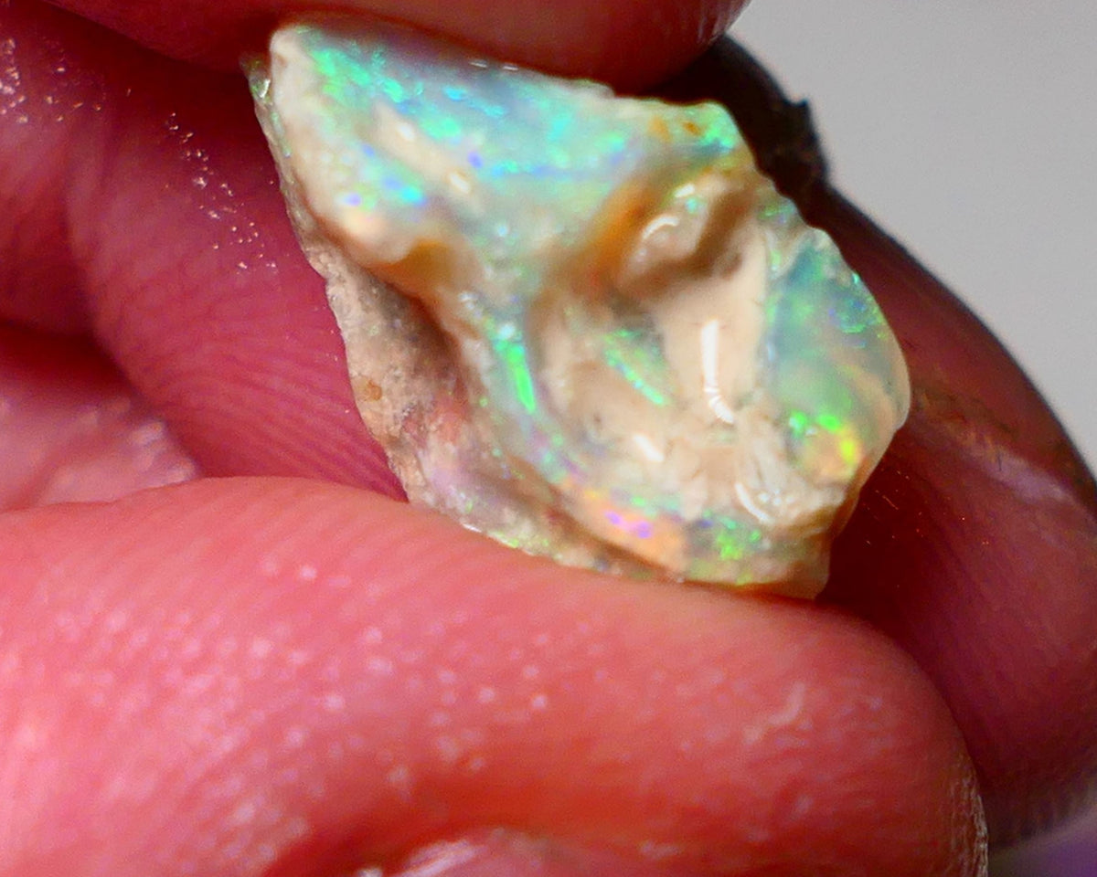 Lightning Ridge Opal Rough nice Opalised Wood Fossil 4.50cts Nice Multi Colours 15x10x8mm 0923