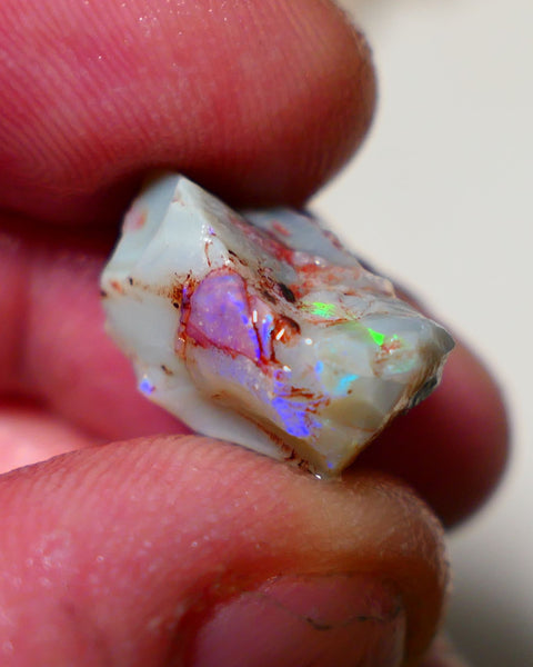 Lightning Ridge Rough Opal 12cts Grey base Seam opal with Bright colourful bar showing multicolours 19x11x10mm A1519