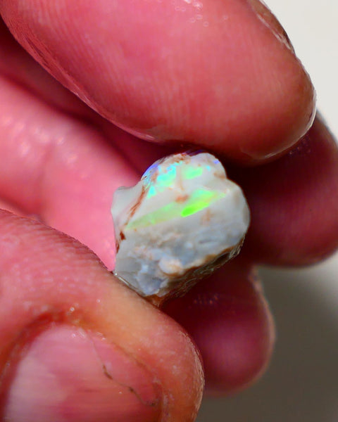 Lightning Ridge Rough Opal 12cts Grey base Seam opal with Bright colourful bar showing multicolours 19x11x10mm A1519