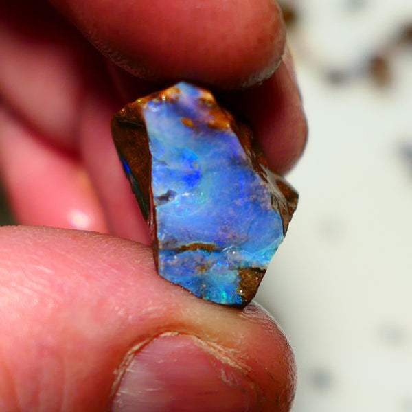 Queensland Boulder Boulder opal 23.50cts rough Winton gorgeous face with Blue dominant fires 20x12x11mm 2001A