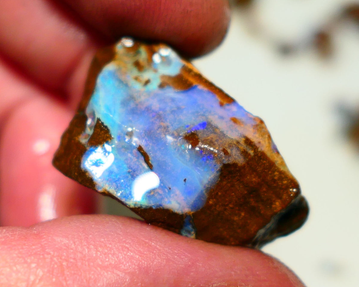 Queensland Boulder Boulder opal 63cts rough Winton gorgeous face with some fires 32x19x15mm 2002A