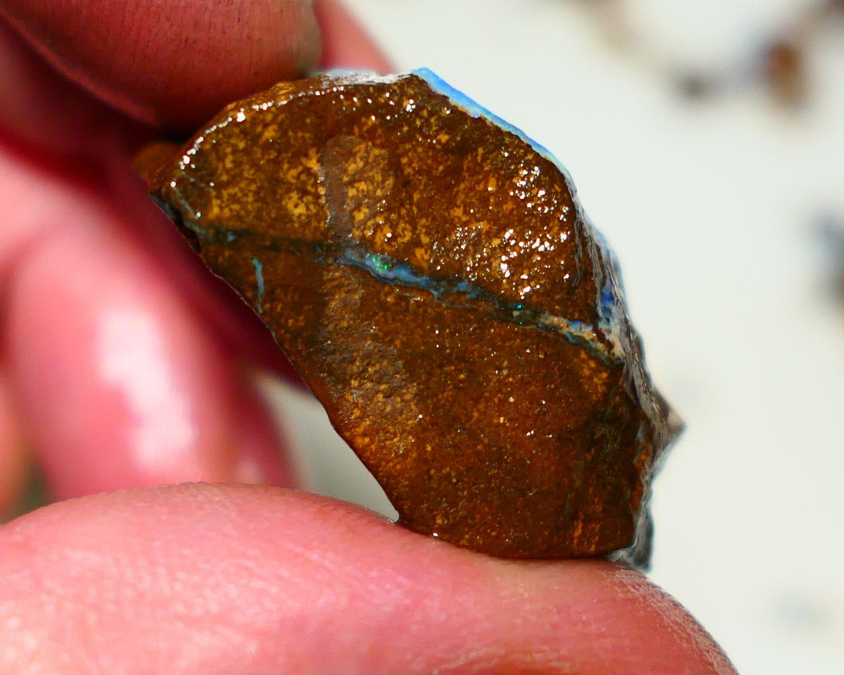 Queensland Boulder Boulder opal 63cts rough Winton gorgeous face with some fires 32x19x15mm 2002A