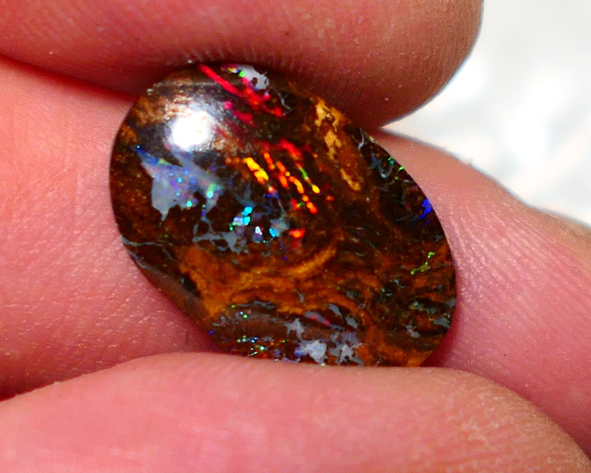 Australian Queensland Boulder Matrix opal Polished Gemstone 7.00cts Red Alert gorgeous Bright Multifires 18x11.5x4mm BO016