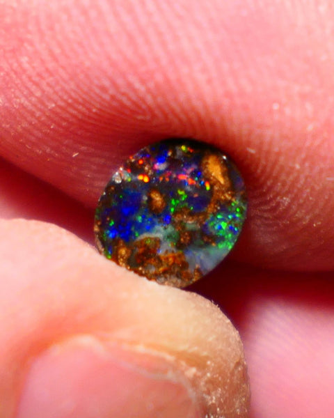 Australian Queensland Boulder opal Polished Gemstone 1.00cts Freeform Oval cut Bright Gorgeous multifires from Winton 7x9x2mm BO-011