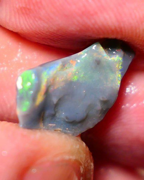 Mulga Rough Opal 3.65cts Stunning Dark Base Seam Bright Orange Dominant Multi colour fires to Cut / carve & polish 11x10x2.5mm 1138