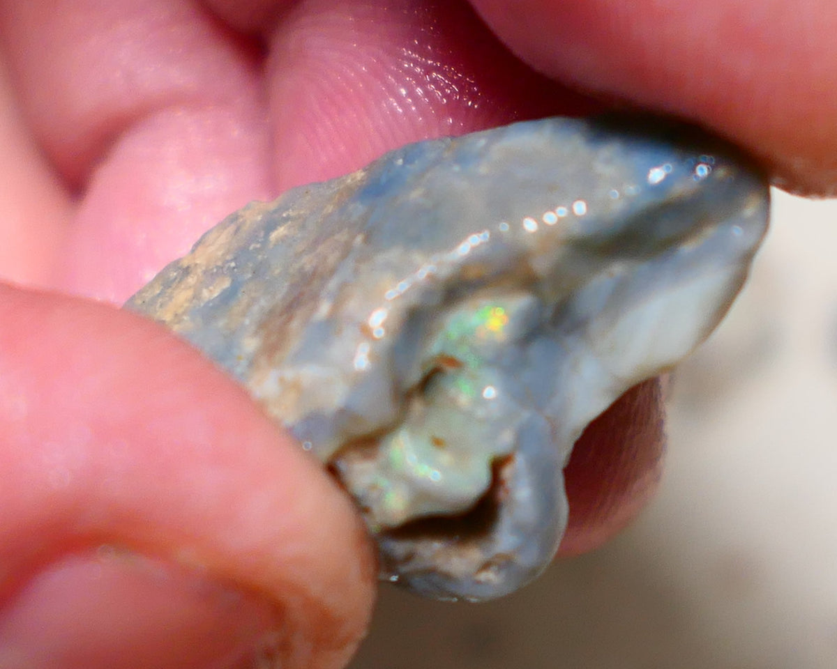 Lightning Ridge Rough Opal 23cts Gamble Big Dark Base seam showing Yellow/orange flash 27x15x11mm 1152