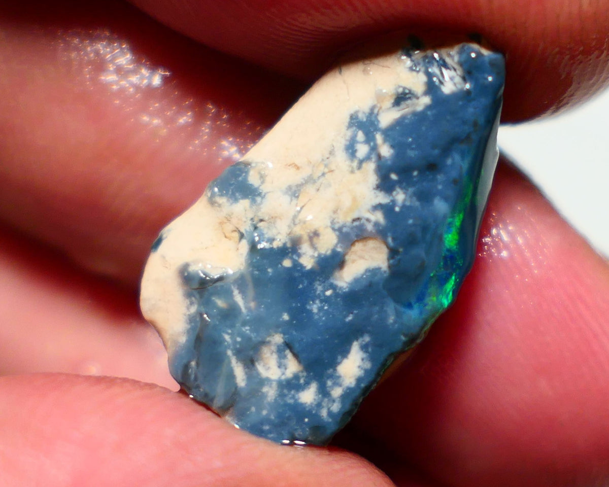 Lightning Ridge Black Rough Opal 10cts Gamble showing some Green & blue & Yellow fires 23x13x7mm 1320