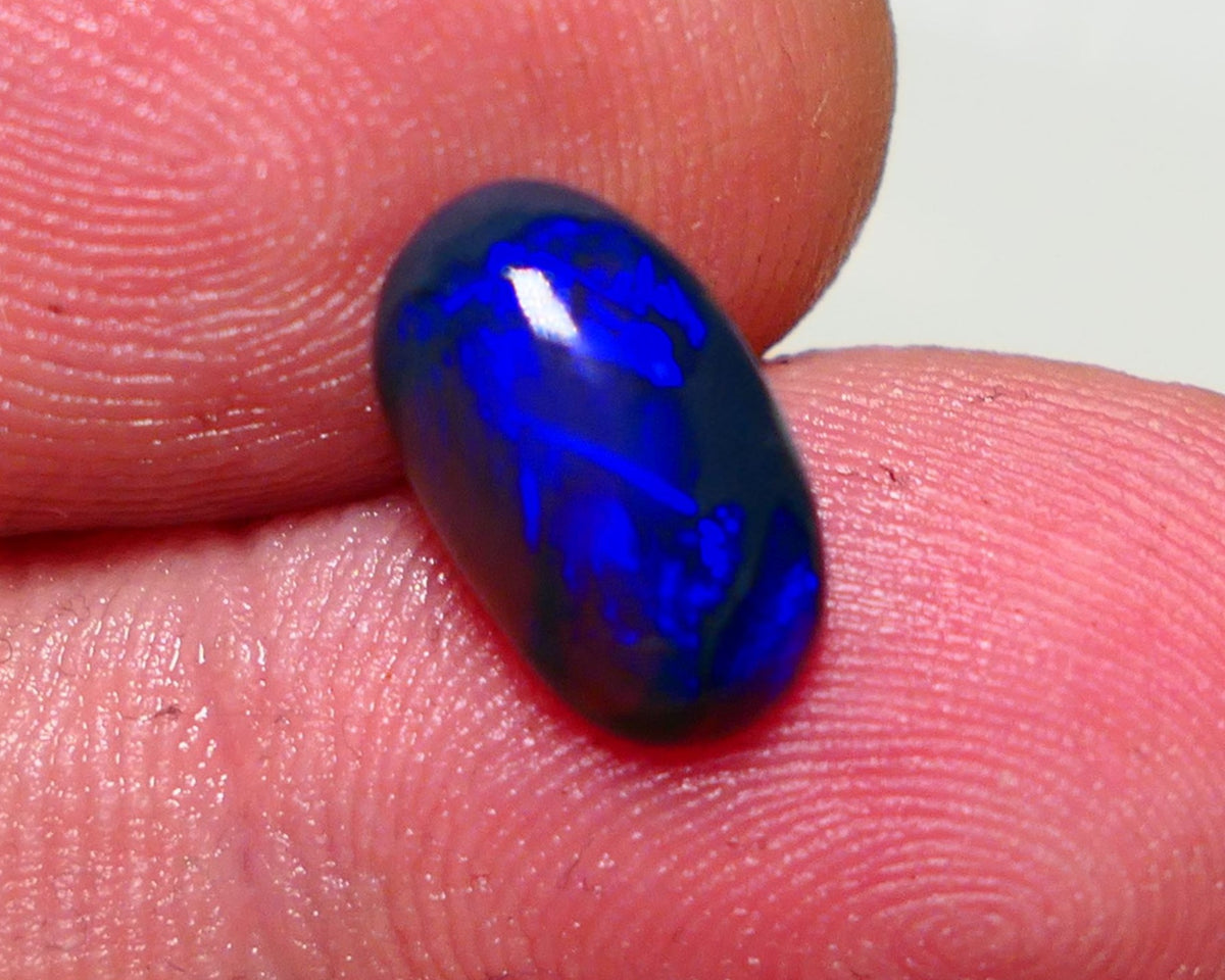 OPALFEVERMATE.COM December 2024 Customer Raffle Prize #1 - Free Entry with Every Order! Lightning Ridge Black opal  2.00cts GEM Grade N5 Body Tone B3 Brightness  Rolling Flash Royal Blues in various patterns 12.2x7.3x3.8mm 1327