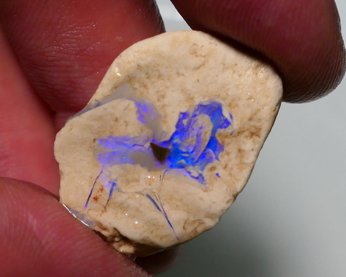 Lightning Ridge Rough Opal 21cts Formation showing Very gorgeous Blues 29x19x9mm 1201