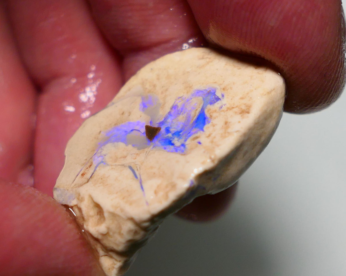 Lightning Ridge Rough Opal 21cts Formation showing Very gorgeous Blues 29x19x9mm 1201