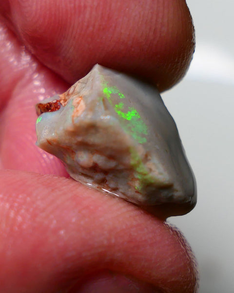 Lightning Ridge Rough Opal 9.70cts Dark Seam showing nice Bright Green Dominant colours 17x10x9mm 1307