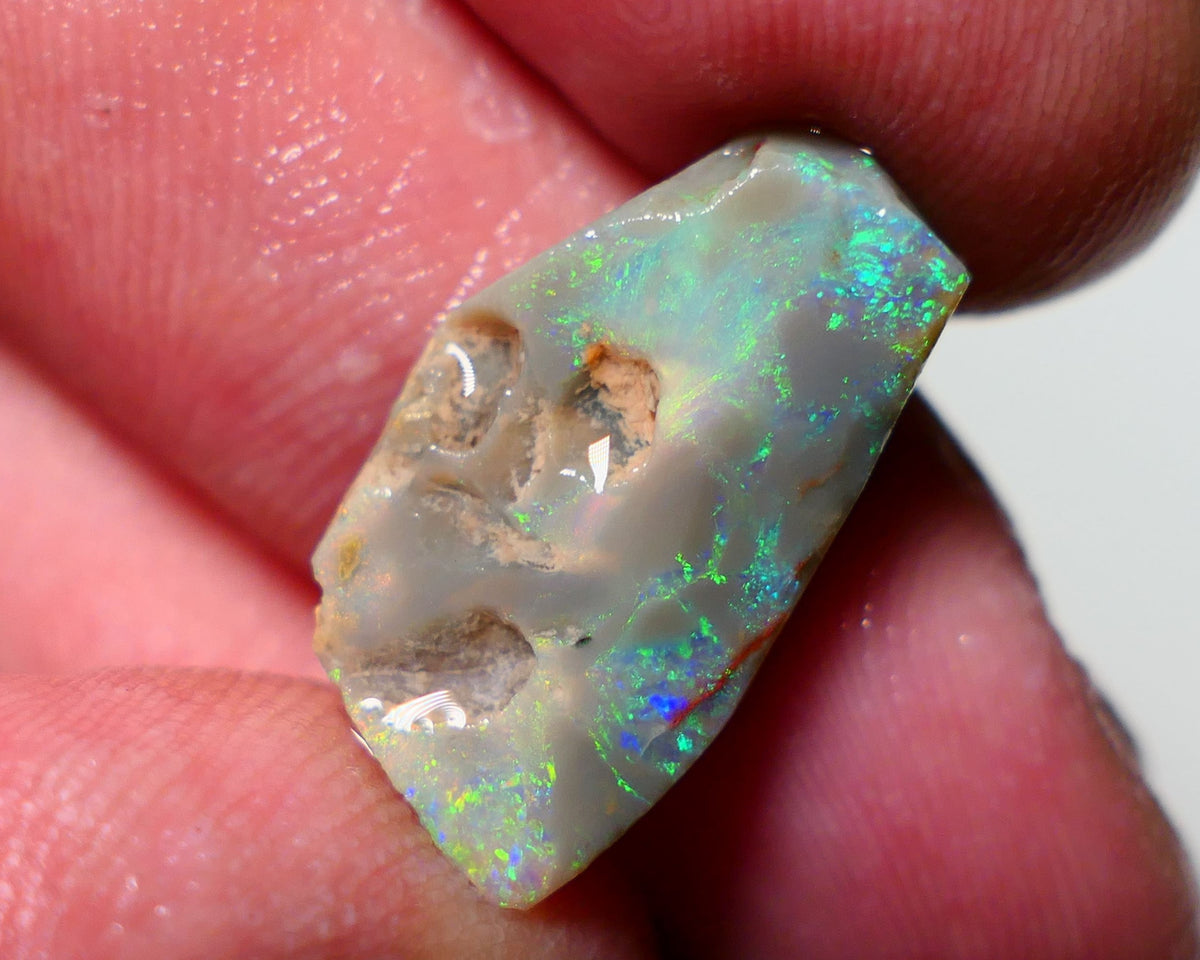 Lightning Ridge Rough Rub Opal 5.75cts Dark Seam showing areas of nice Bright Multifires 21x12x4mm 1311