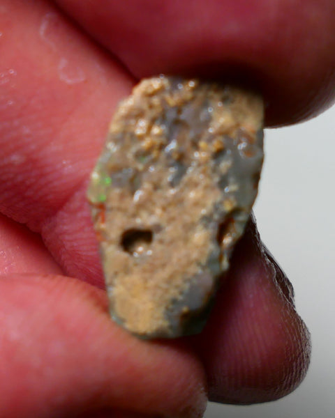 Lightning Ridge Rough Rub Opal 5.75cts Dark Seam showing areas of nice Bright Multifires 21x12x4mm 1311