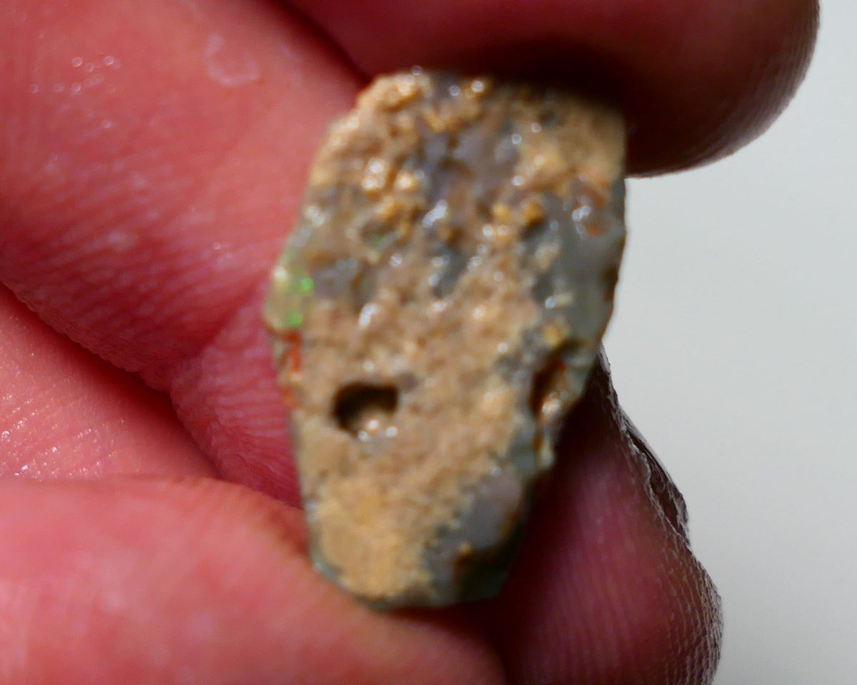 Lightning Ridge Rough Rub Opal 5.75cts Dark Seam showing areas of nice Bright Multifires 21x12x4mm 1311