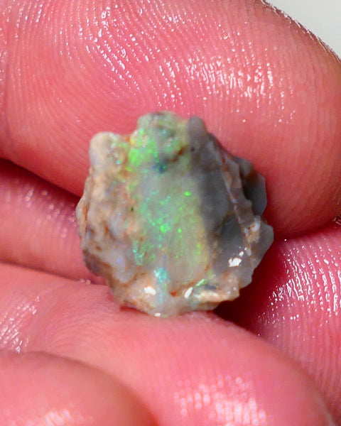 Lightning Ridge Opal Rough nice Opalised Wood Fossil 5.00cts Nice multi colours 13x13x10mm 1303