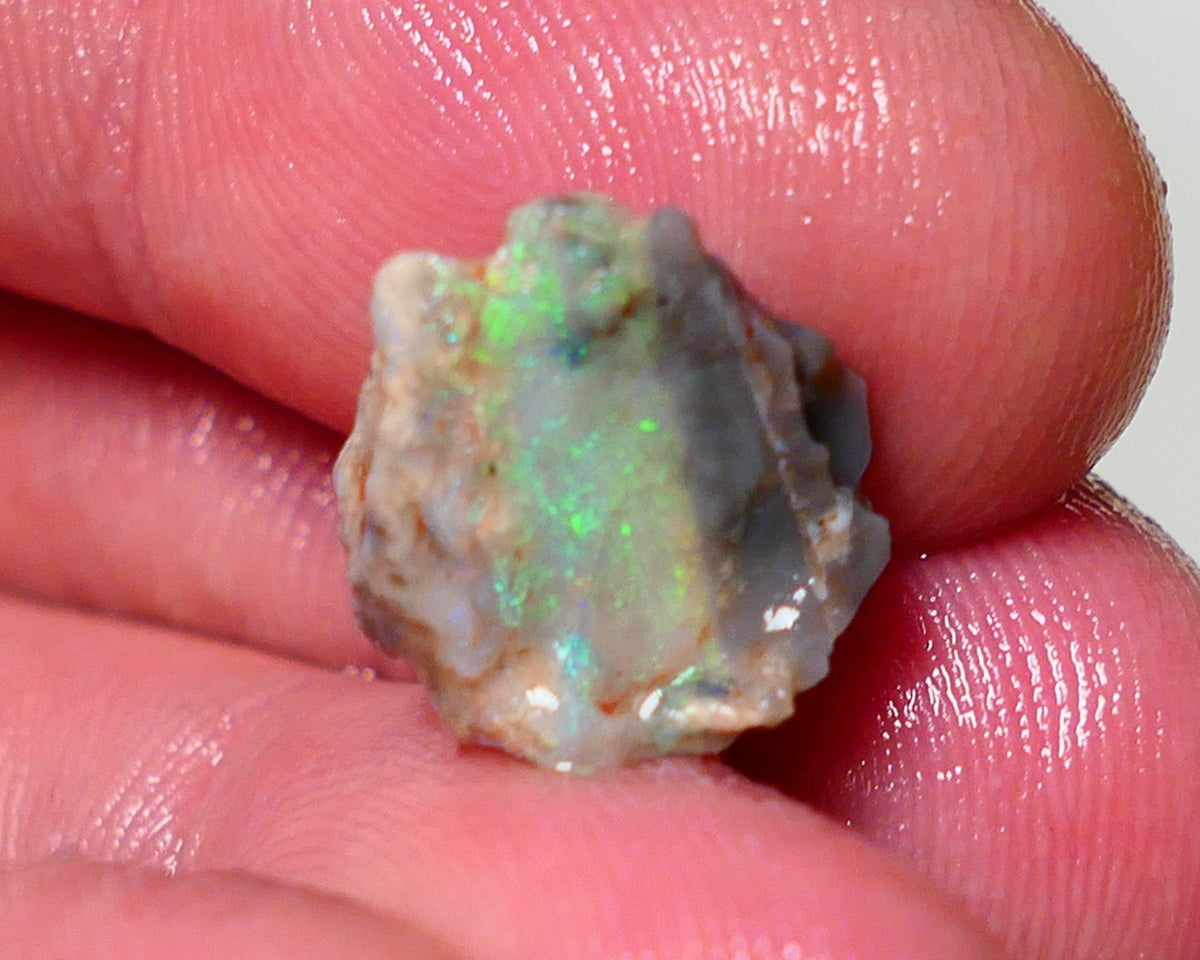 Lightning Ridge Opal Rough nice Opalised Wood Fossil 5.00cts Nice multi colours 13x13x10mm 1303