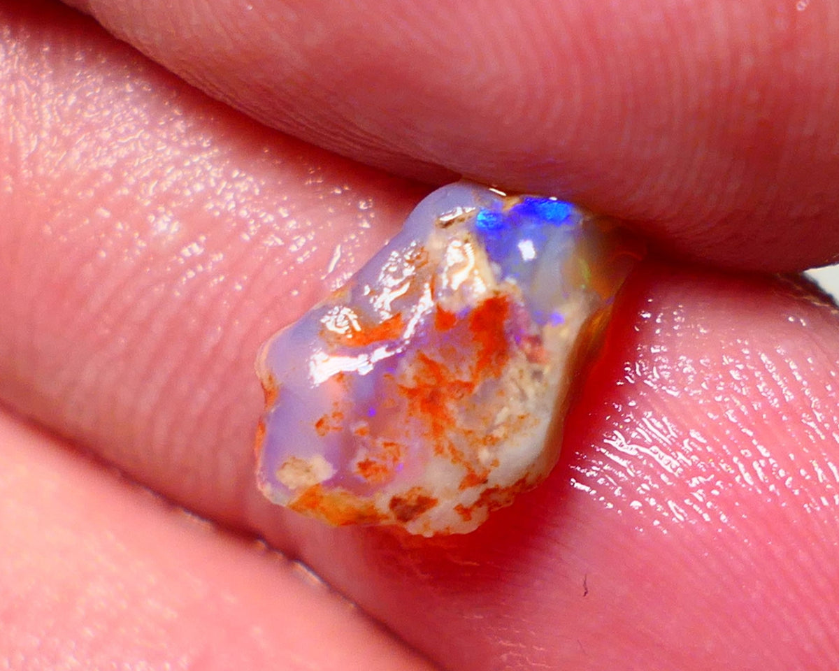 Lightning Ridge Opal pair small bits of Knobby Rough 4.25cts Stunning Bright Multi Colours 12x8x5mm & 13xx4mm 1312