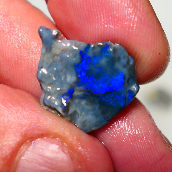 Lightning Ridge Opal Dark base Seam Rough 9.50cts Gorgeous Stunning Very Bright Royal Blue fires 21x19x7mm 1313