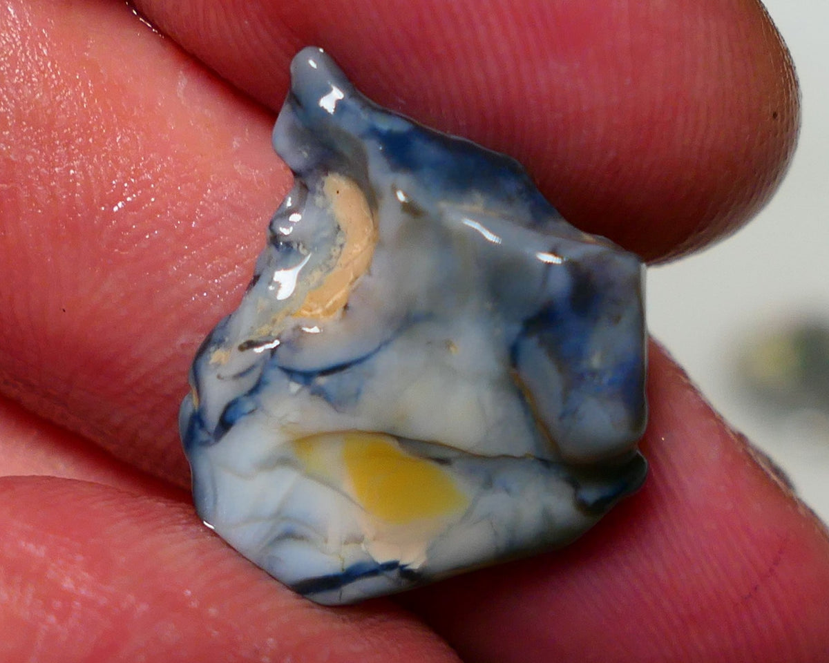 Lightning Ridge Opal Dark base Seam Rough 9.50cts Gorgeous Stunning Very Bright Royal Blue fires 21x19x7mm 1313