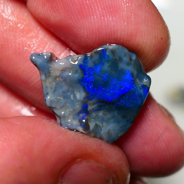 Lightning Ridge Opal Dark base Seam Rough 9.50cts Gorgeous Stunning Very Bright Royal Blue fires 21x19x7mm 1313