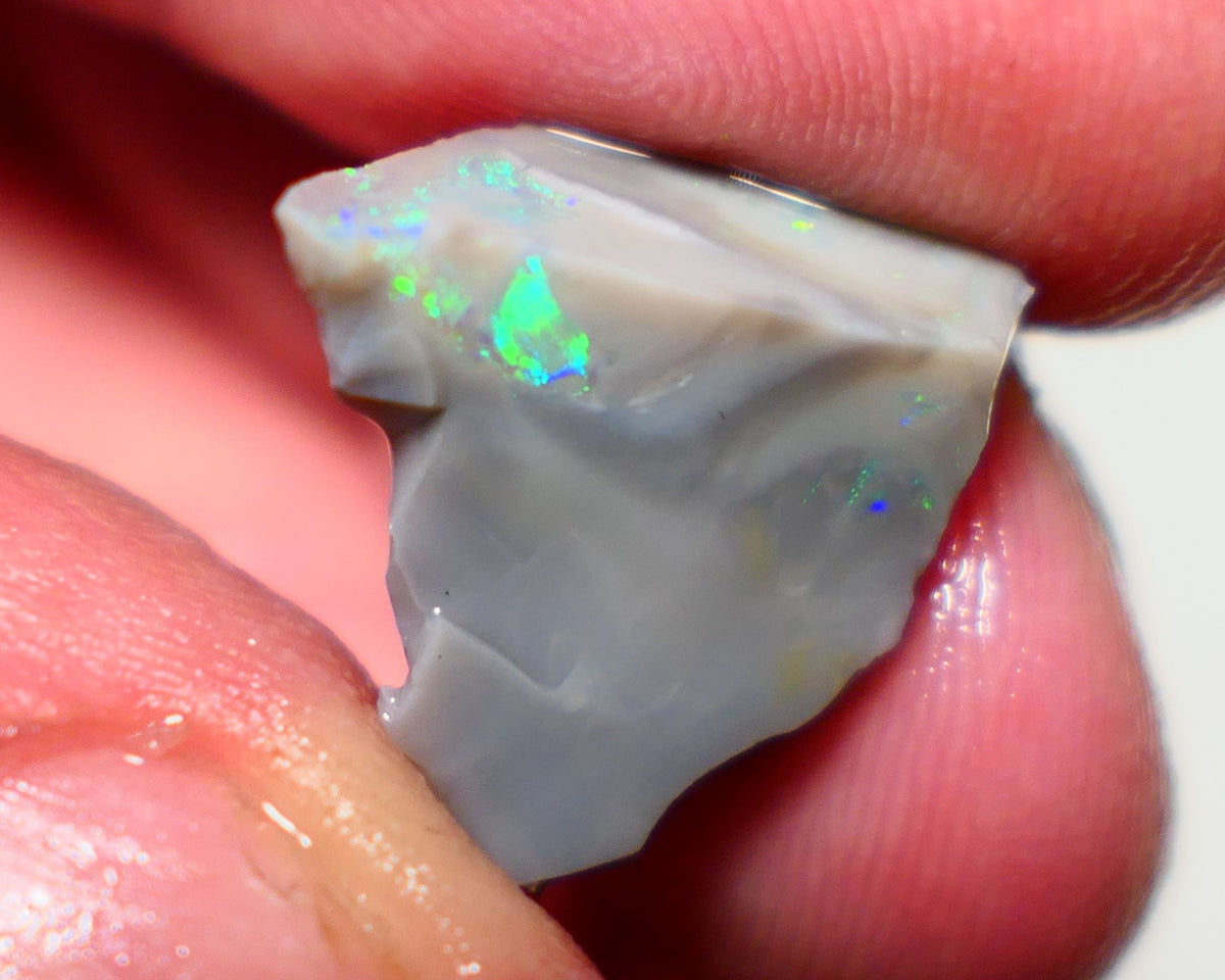 Lightning Ridge Rough Opal 8cts Dark Seam showing nice multicolours in warped colour bar 16x15x7mm 1322