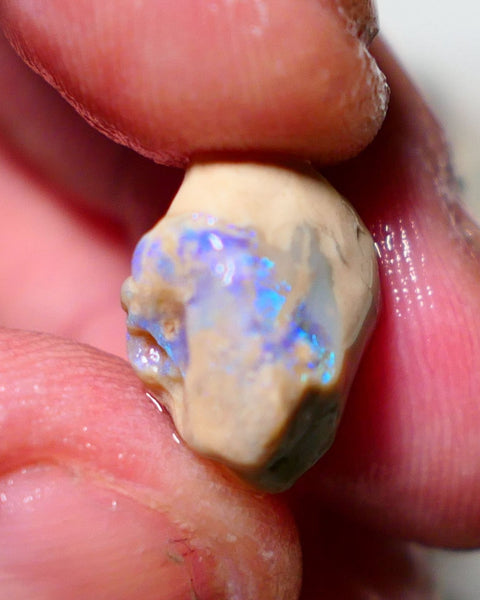 Lightning Ridge Rough Opal  8cts Knobby formation with Band of crystal opal with light blues 15x14x9mm 1414