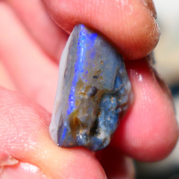 Lightning Ridge Rough Opal 8.75cts Half a dark base knobby opal showing lots blues colours 19x13x6mm 1407