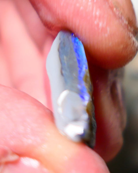 Lightning Ridge Rough Opal 8.75cts Half a dark base knobby opal showing lots blues colours 19x13x6mm 1407