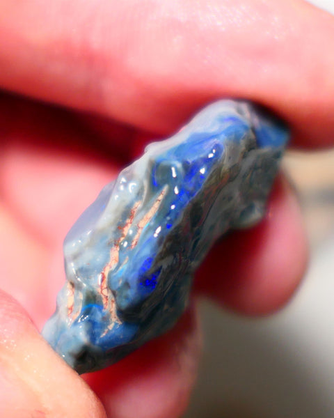 Lightning Ridge Rough Opal 28cts Big Dark Seam showing some nice blues 33x20x9mm 1406