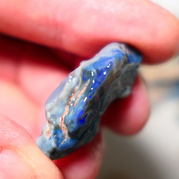 Lightning Ridge Rough Opal 28cts Big Dark Seam showing some nice blues 33x20x9mm 1406