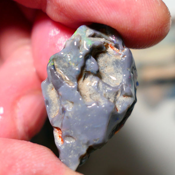 Lightning Ridge Rough Opal 28cts Big Dark Seam showing some nice blues 33x20x9mm 1406