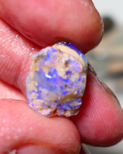 Lightning Ridge Rough Opal 6cts Crystal Seam formation showing lots of blues 15x12x6mm 1405