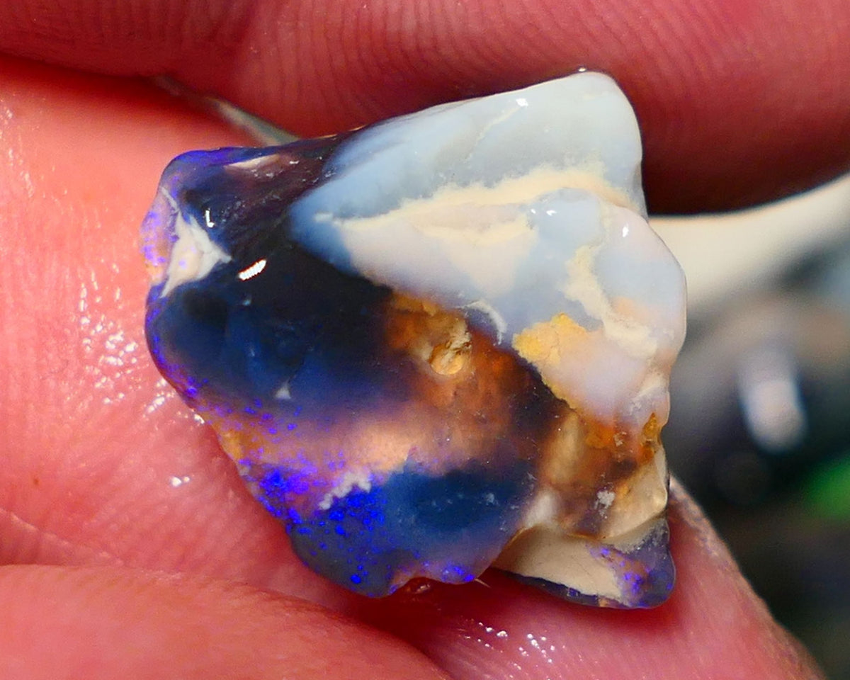 Lightning Ridge Rough Opal 13.50cts Black/Dark Seam formation showing some gorgeous blues 18x18x10mm 1404