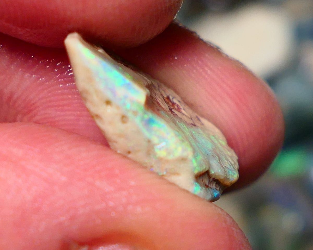 Lightning Ridge Rough Rub Opal 6.00cts Dark knobby showing Bright Yellow dominant Multifires 20x12x5mm 1324