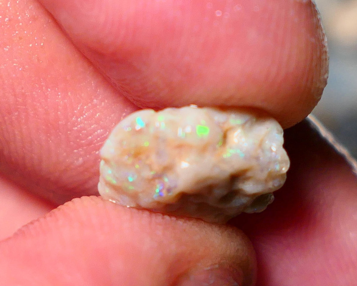 Lightning Ridge Rough Opal 4cts Small knobby formation showing some bright multicolour 14x10x5mm 1411