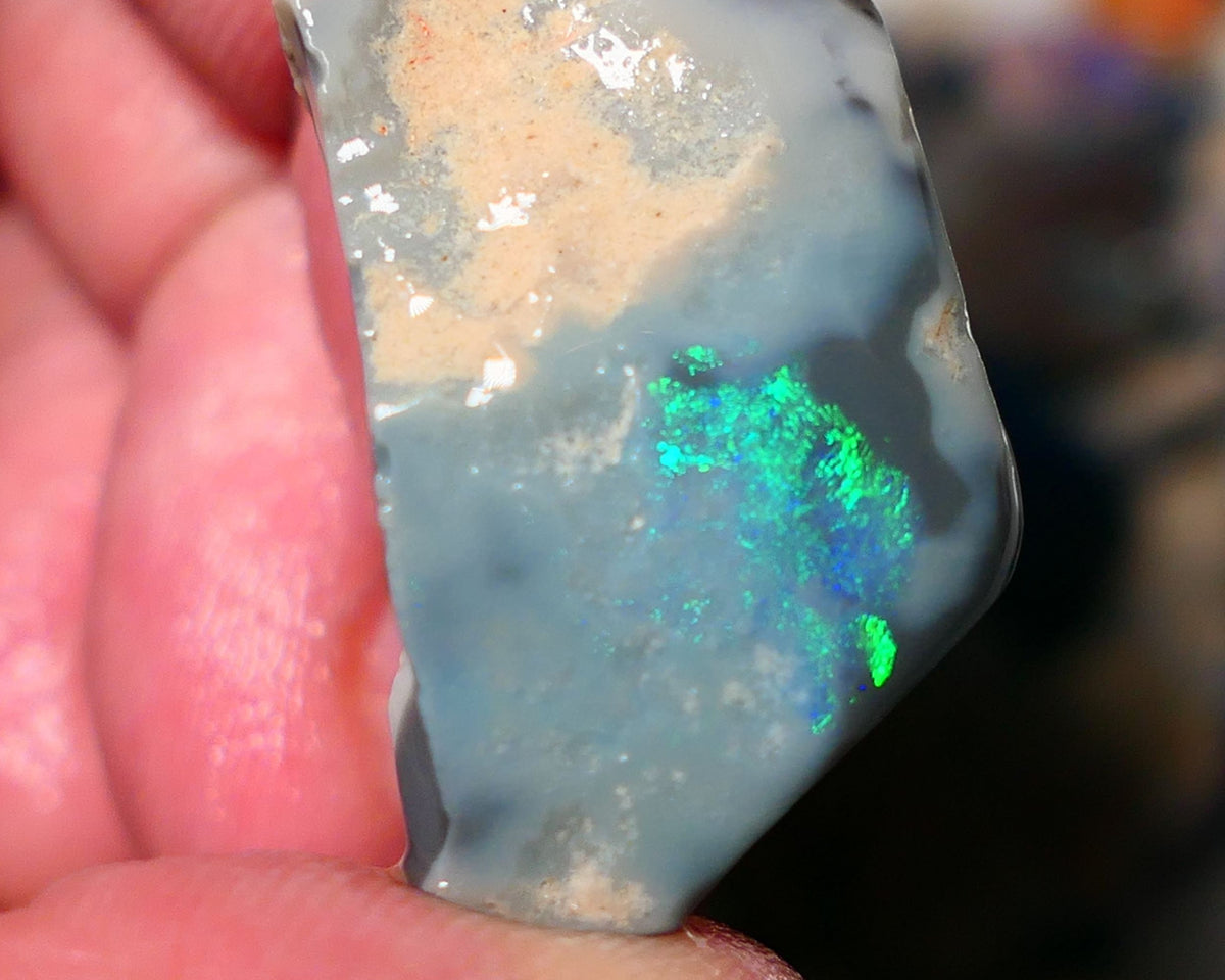 Lightning Ridge Rough Rub Opal 23cts Dark Seam showing Gorgeous zone of bright vibrant fires 31x18x7.5mm 1323