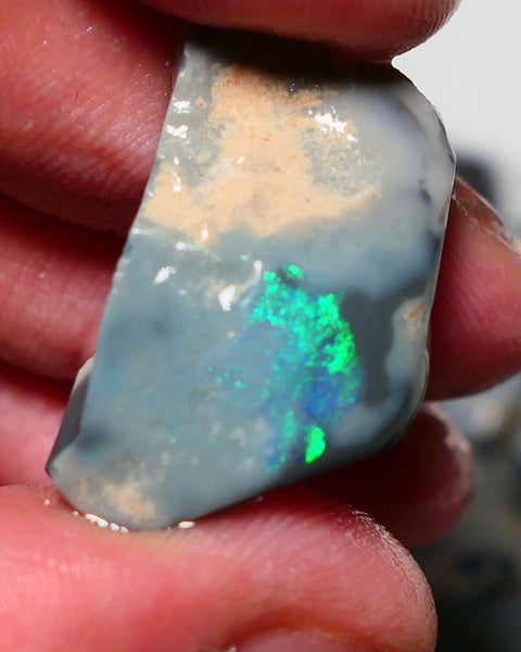 Lightning Ridge Rough Rub Opal 23cts Dark Seam showing Gorgeous zone of bright vibrant fires 31x18x7.5mm 1323