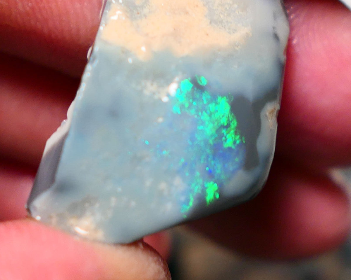 Lightning Ridge Rough Rub Opal 23cts Dark Seam showing Gorgeous zone of bright vibrant fires 31x18x7.5mm 1323