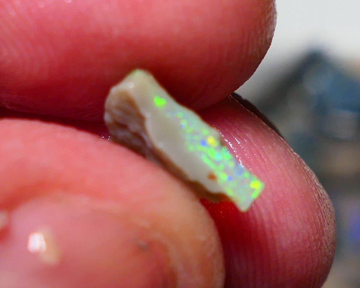 Lightning Ridge Rough Opal 1.75cts Little Seam Gamble Very Bright multicolours 10x8x4mm 1410