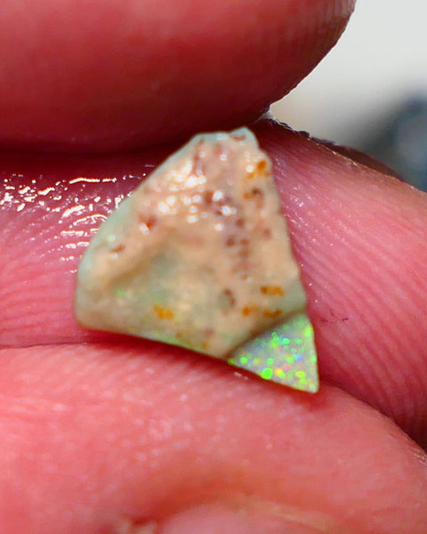 Lightning Ridge Rough Opal 1.75cts Little Seam Gamble Very Bright multicolours 10x8x4mm 1410