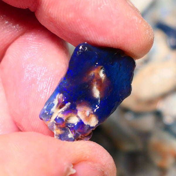 Lightning Ridge Rough Opal 12cts Black Seam formation showing lots nice Blues 20x18x11mm 1344