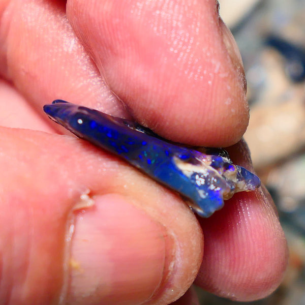 Lightning Ridge Rough Opal 12cts Black Seam formation showing lots nice Blues 20x18x11mm 1344