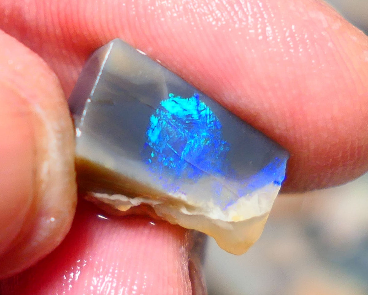 Lightning Ridge Opal Dark Base Seam Rough / Slice / Rub 9.15cts Bright Blue Green & Teal fires gorgeous pattern  15x9x8mm 1342