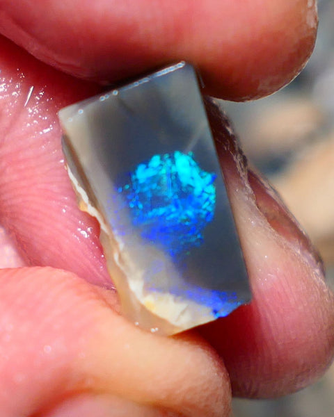 Lightning Ridge Opal Dark Base Seam Rough / Slice / Rub 9.15cts Bright Blue Green & Teal fires gorgeous pattern  15x9x8mm 1342